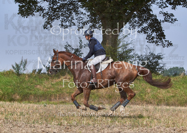 09-23 Jagd Perdöl_MCH0041_Marina Hewig | Fotografie, FotoArt, PferdesportArt, Pferdesportfotografie, Landschaftsfotografie, Reisefotografie, Reise, Pferde - Realisiert mit Pictrs.com