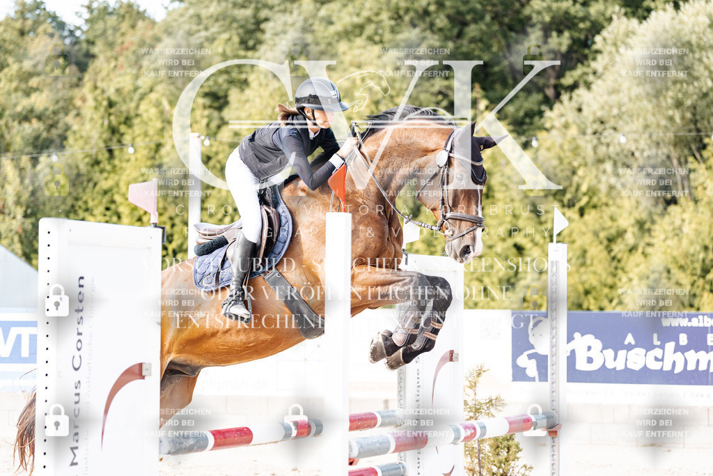 CK906397 | Turnierfotografie Pferdefotografie Trier Rheinland-Pfalz Pferdesport Reitsport Tierfotografie Sportfotografie Pferdevideo Pferdevideografie Equestrianvideography equestrianphotography  - Realisiert mit Pictrs.com