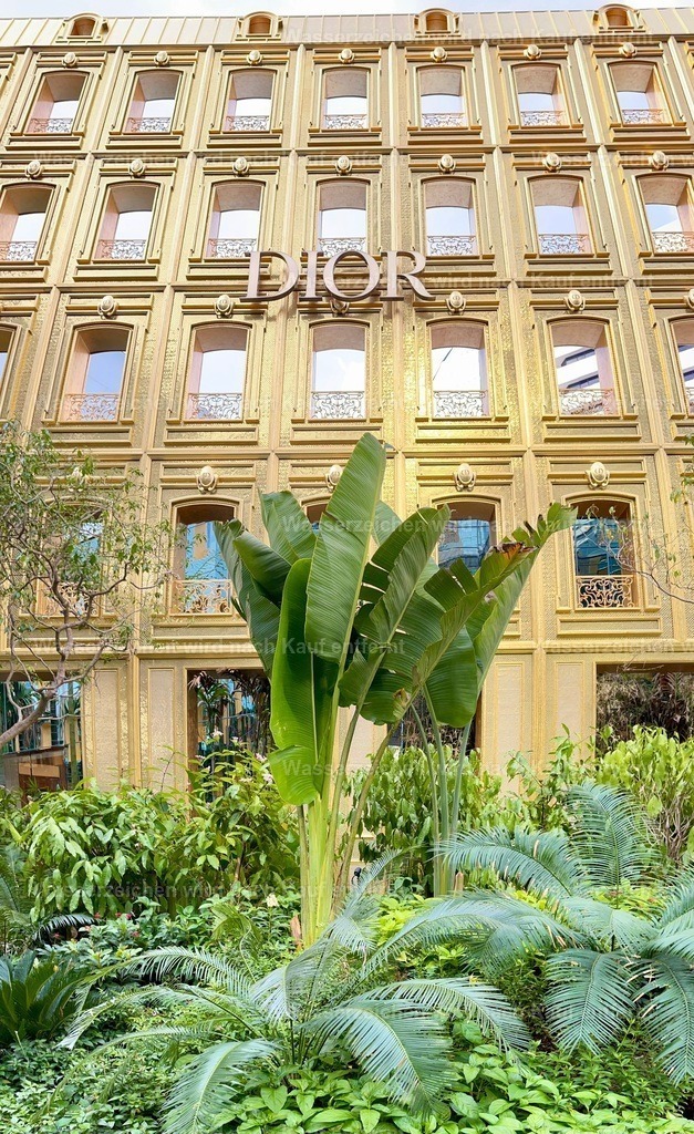 IMG_6211 | heikomoeller - Realisiert mit Pictrs.com