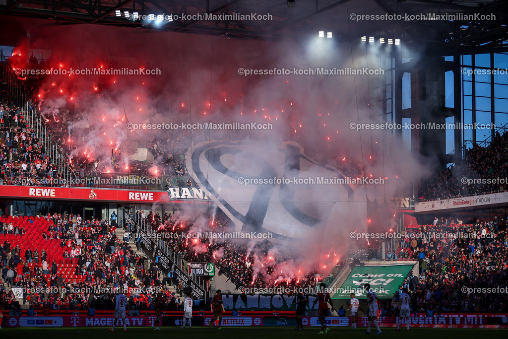 1FC30112401049 | 30.11.2024, Fußball, 1. FC Köln - Hannover 96, 2. Fußball Bundesliga, RheinEnergieSTADION, Saison 2024 2025: Die Ultras im Gästeblock zünden Pyrotechnik Bengalisches Feuer Bengalos Choreo Choreografie FeatureDFB regulations prohibit any use of photographs as image sequences and or quasi-video.