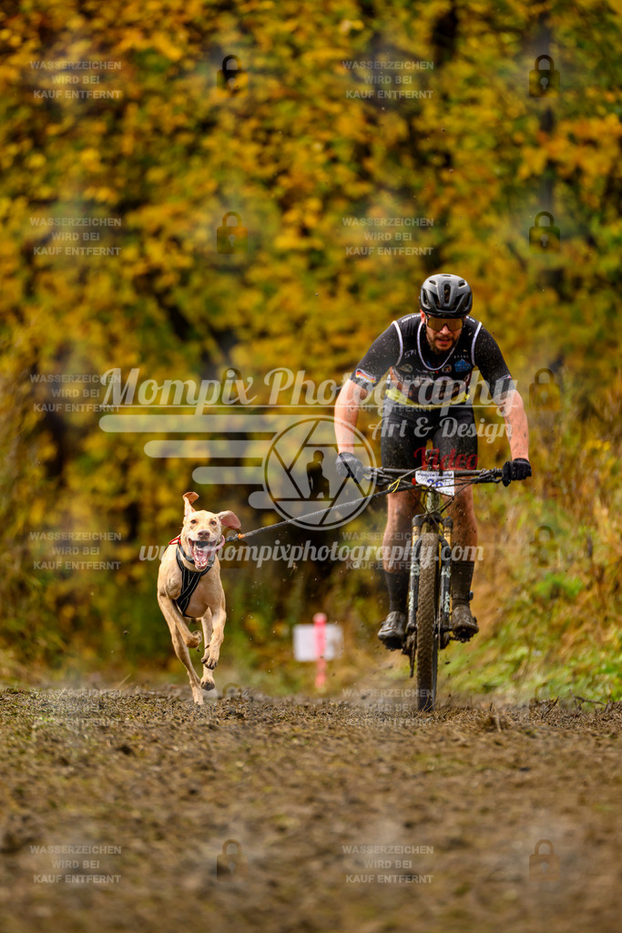 MompixPhotography_ICF_WC_2024_SA_Bike_-51 | PayLife