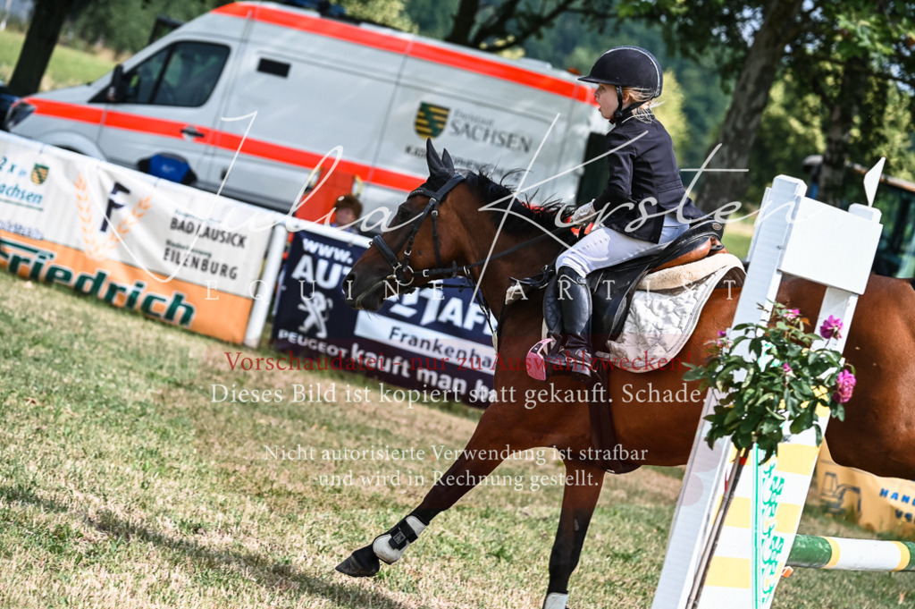 DSC_8526 | Pferde- und Turnierfotografie in Westsachsen. Pferdeportraits, Auftragszeichnungen und intuitive Kunst.
