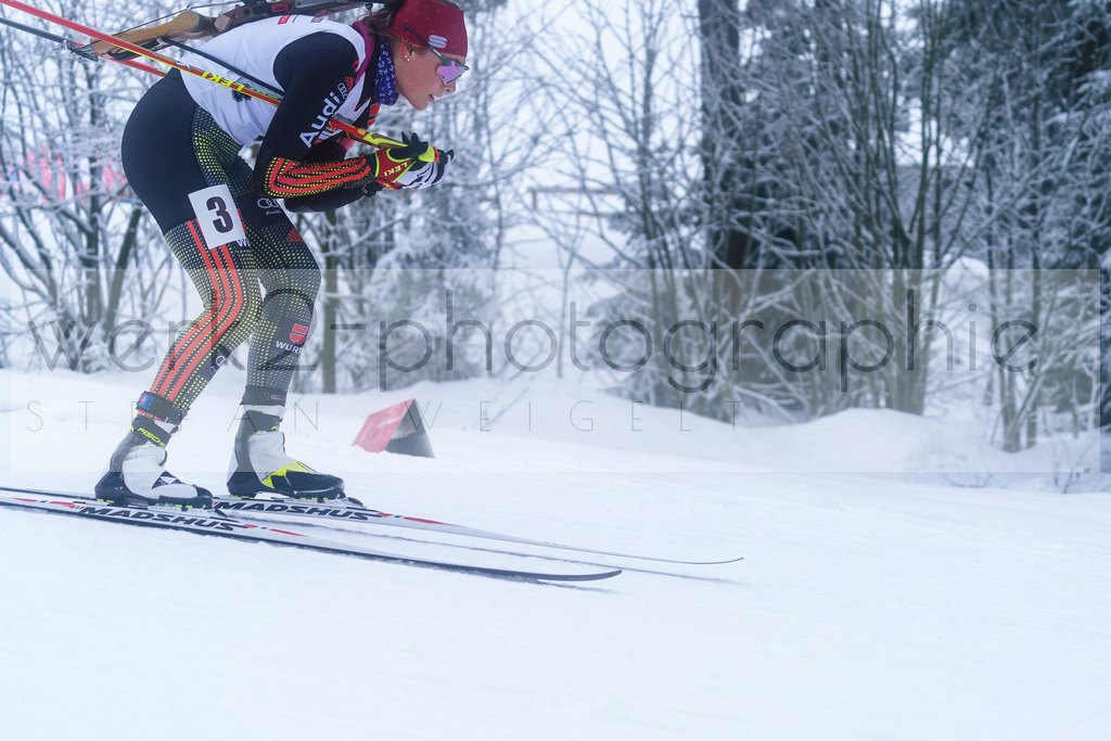 DP Oberwiesenthal | Alpencup/DP Deutschlandpokal in Oberwiesenthal am 15.-17.12.2023