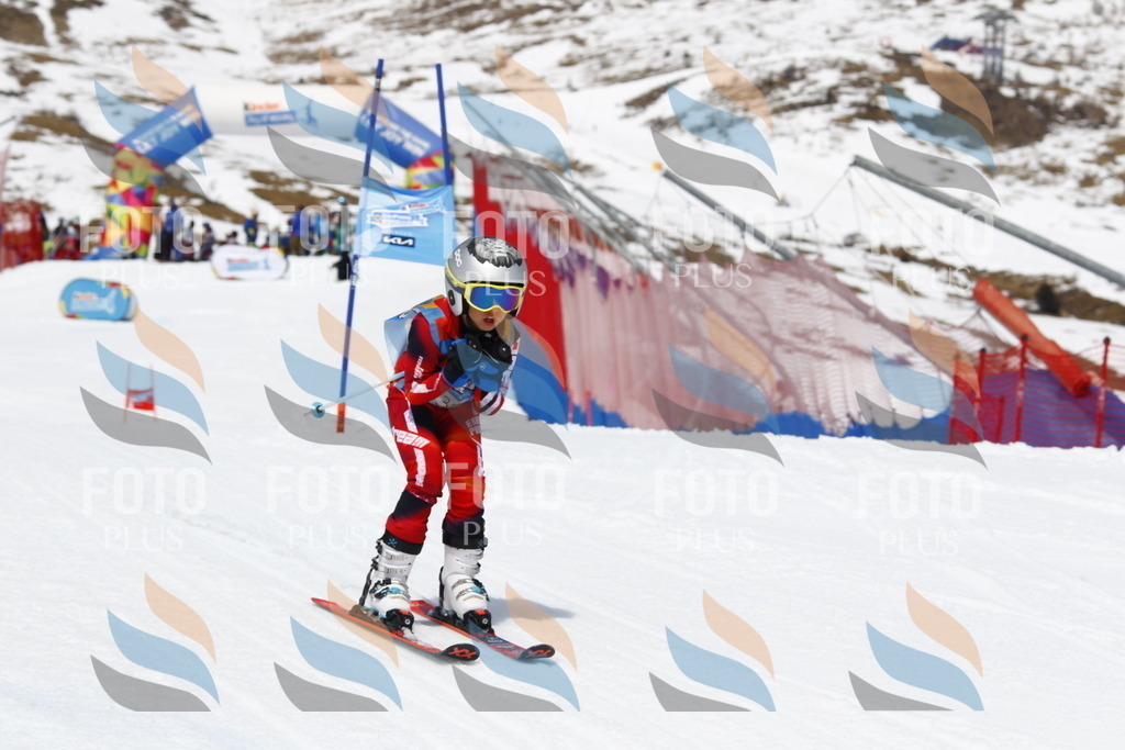 _U3G7936 | holidayphoto