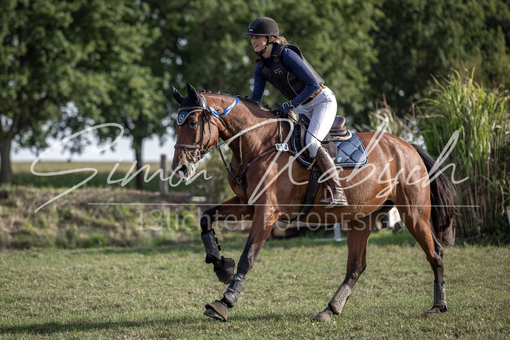 20250907-_3LI9061 | Tierfotografie Pferde, Hunde, Katzen, Haustiere.
Turnierfotografie Reitturniere, Reiten, Springreiten, Dressur in Hanau, dem Main-Kinzig-Kreis und dem Rhein-Main- Gebiet um Frankfurt