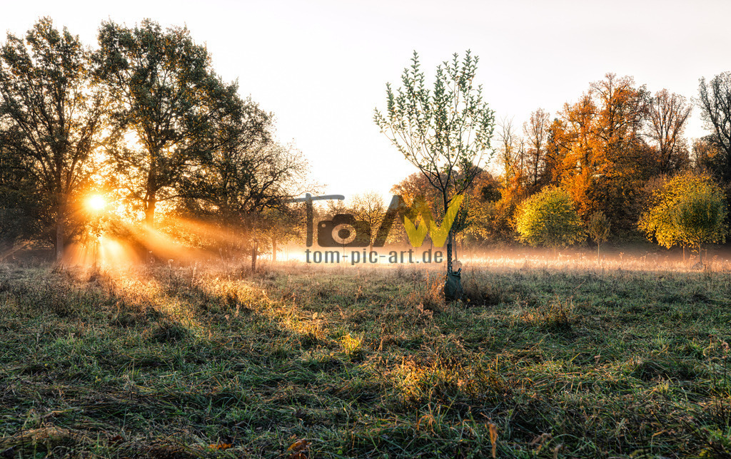 0Y9A0204-Verbessert-RR-Bearbeitet | Hochauflösende und hochwertige Bilder und Fotos.Kommerzielle oder private Nutzung ✔ Bilder downloaden✔ Acryl ✔ Leinwand ✔ Poster ✔
 - Realisiert mit Pictrs.com
