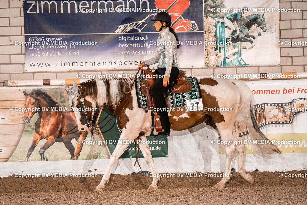 ZH200514 | dv-media-shop - Realisiert mit Pictrs.com