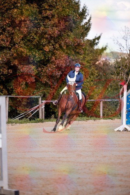 2026_10_03_Siefer-Hof_170336_Z81_00187157 | Professionelle Reitsport-, Turnier- und Eventfotografie von Robert Broda. Galerien mit ausgewählten und bearbeiteten Bildern direkt online ansehen und bestellen.