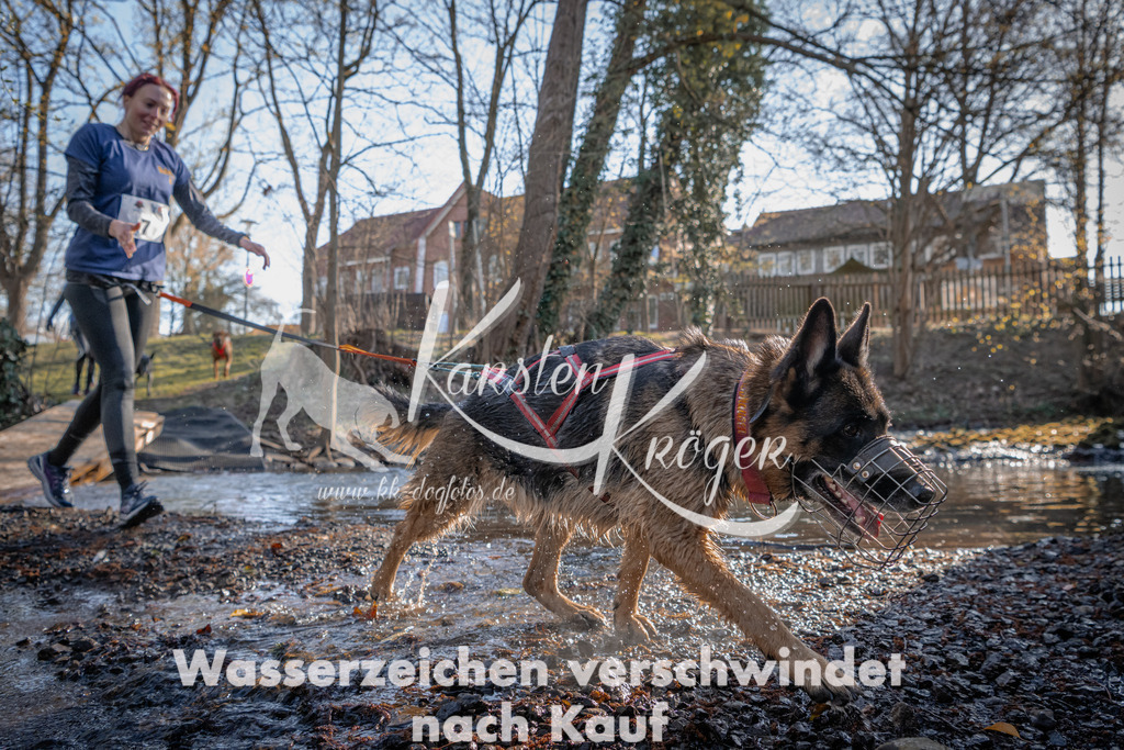 0813_ZZ90161 | kk-dogfotos