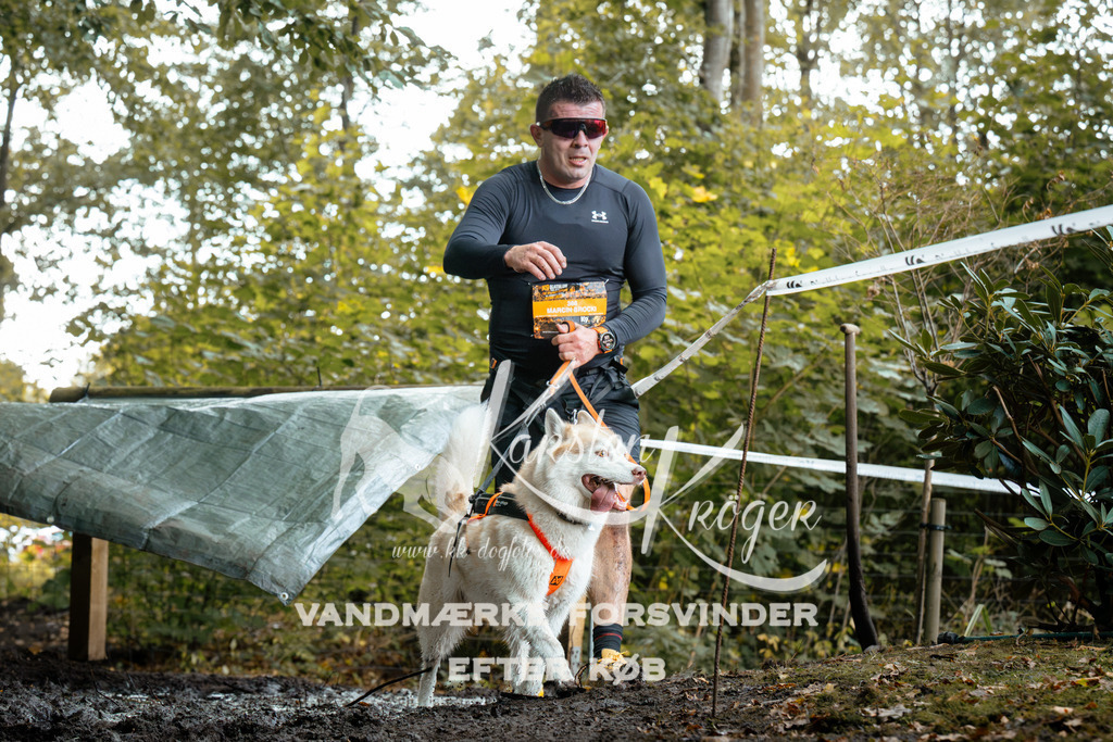 1410DZ6_1222Z6 | kk-dogfotos