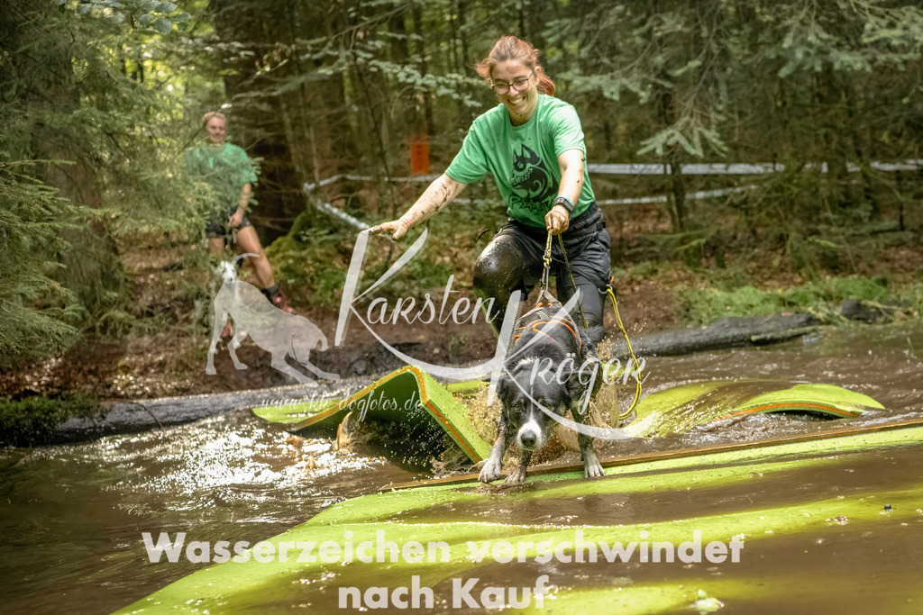 1411_ZZ91365-Bearbeitet | kk-dogfotos