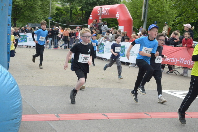 11-05-26_ | Meisterchip Fotoshop - Realisiert mit Pictrs.com