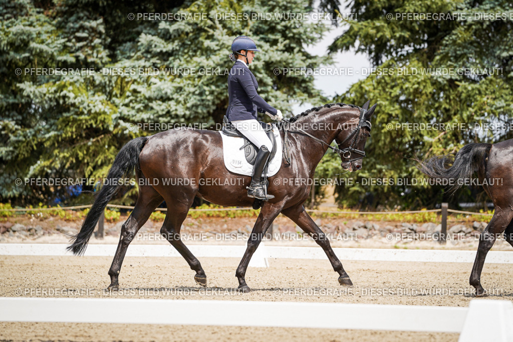 DSC02628 | Pferdegrafie