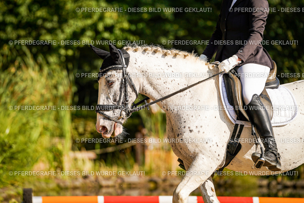 DSC09470 | Pferdegrafie