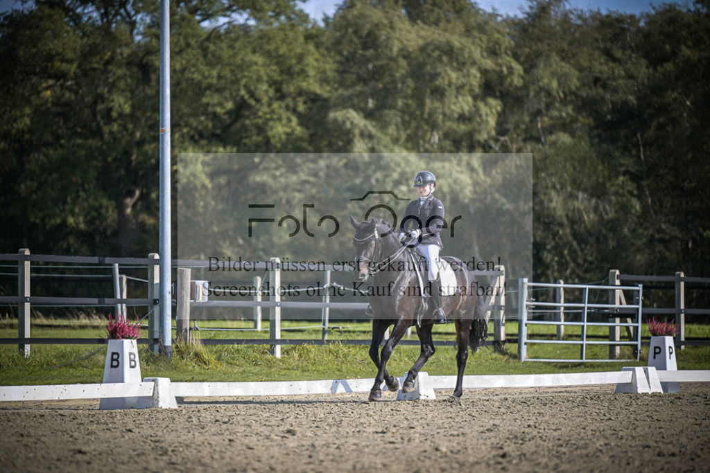 DOS_1371 | Entdecke hochwertige Reitturnierfotos von Foto Oger. Professionell, emotional und authentisch – jetzt Lieblingsmomente im Shop bestellen.Deutschlandweite Turnierfotografie. - Realisiert mit Pictrs.com