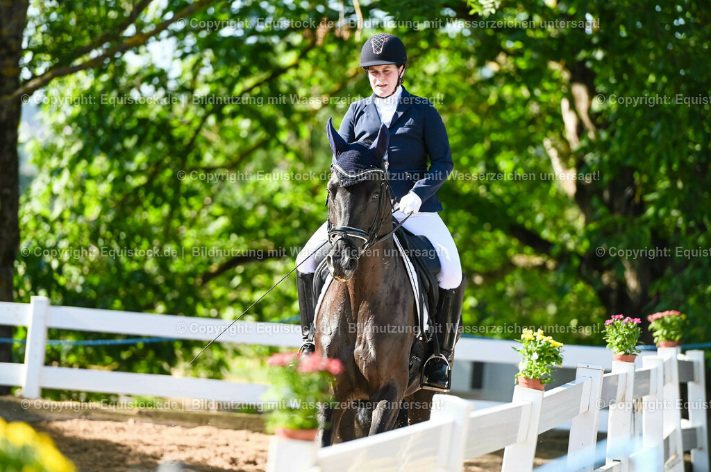 20230715_06_Dressurpferdeprfg. Kl.A_0177 | equistock