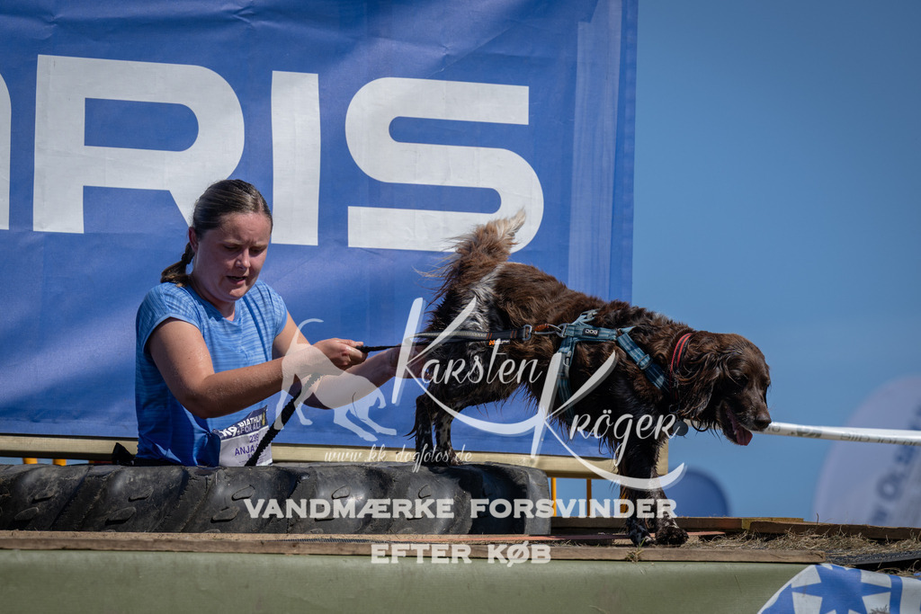 1209_ZZ94194 | kk-dogfotos