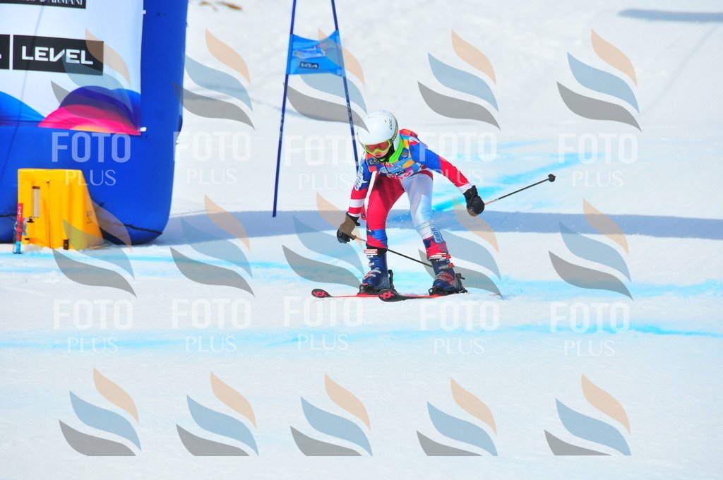 DSC_7063 | holidayphoto