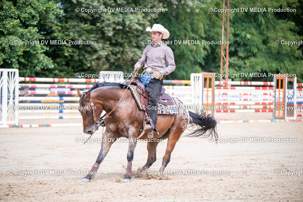 ZS3_5294 | dv-media-shop - Realisiert mit Pictrs.com