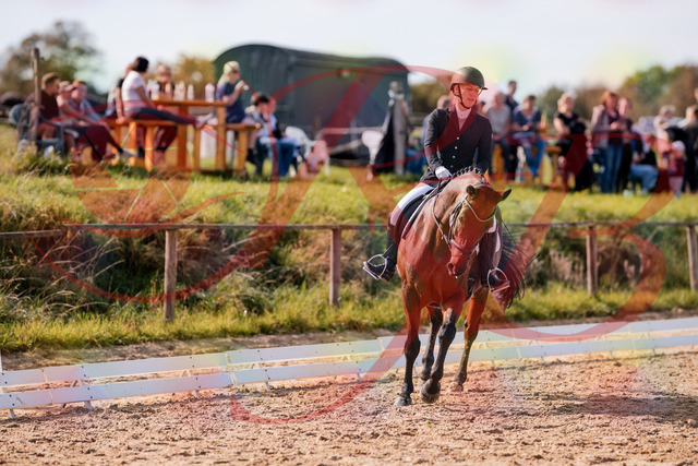 2026_10_03_Siefer-Hof_130722_Z81_58307971 | Professionelle Reitsport-, Turnier- und Eventfotografie von Robert Broda. Galerien mit ausgewählten und bearbeiteten Bildern direkt online ansehen und bestellen.