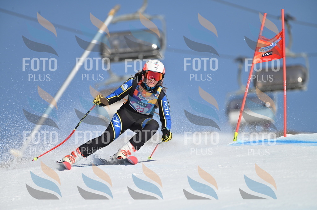 BGV_7996 | holidayphoto