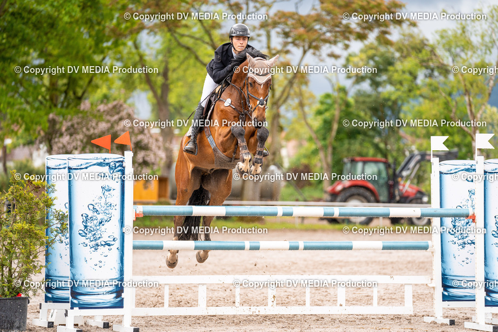 Eppelheim Tag 3-48 | dv-media-shop - Realisiert mit Pictrs.com