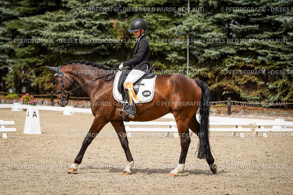 DSC04544 | Pferdegrafie