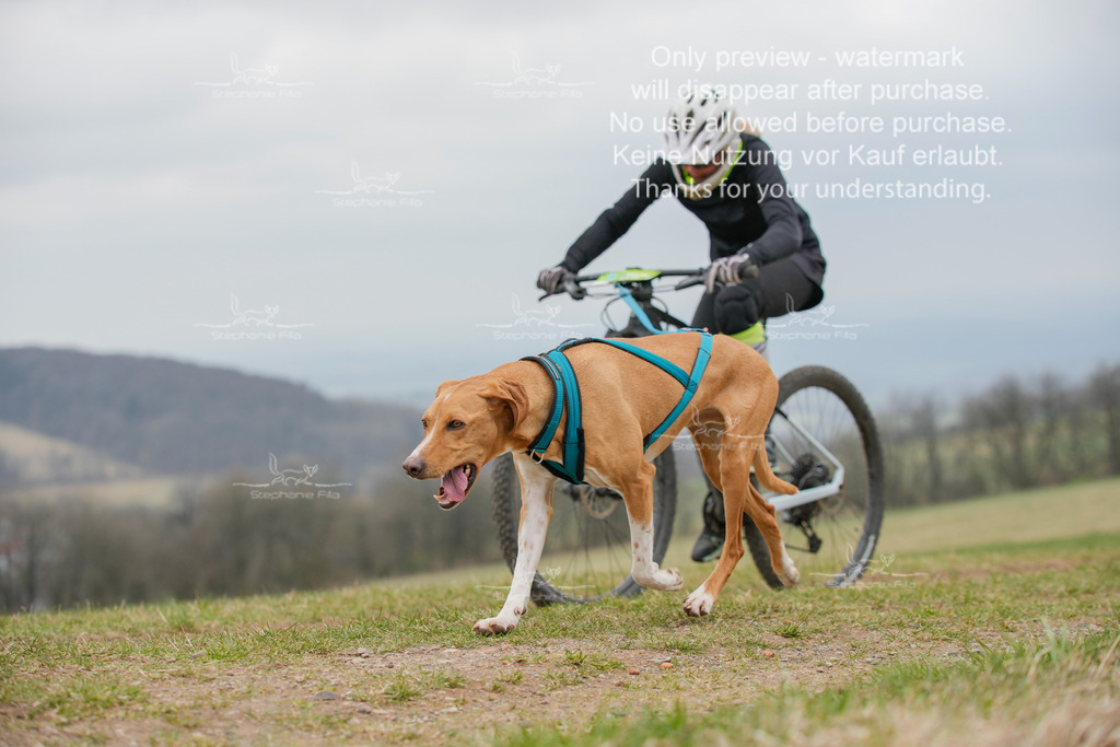 BikeSA-314 | stephaniefillaphotographie - Realisiert mit Pictrs.com