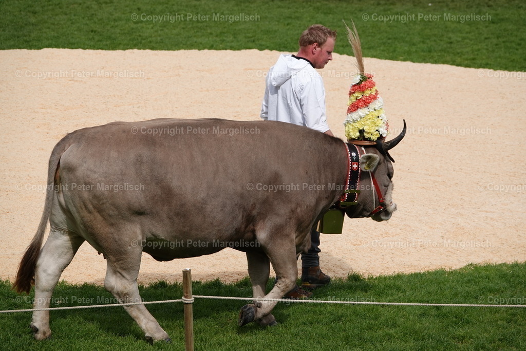 DSC03279 | Schwingen - Realisiert mit Pictrs.com