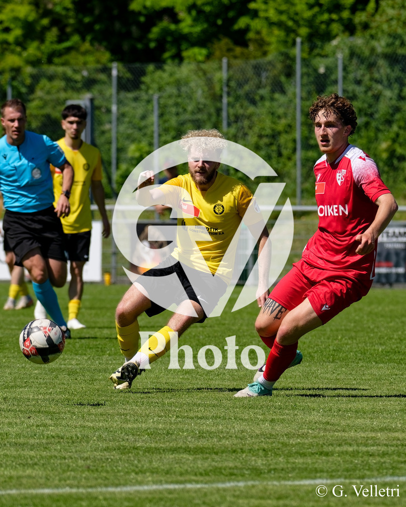 DSC_7699 | Velletri Photo