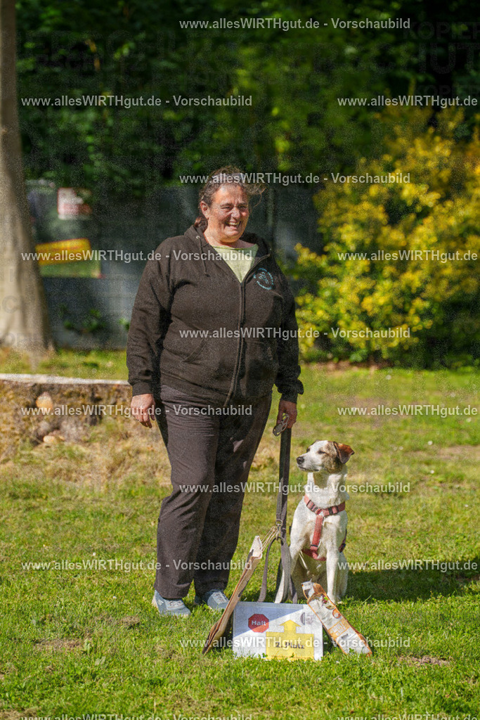 @allesWIRTHgut_Tierfotografie - www.allesWIRTHgut.de - 7R502232 | Professionelle Tierfotografie in Mönchengladbach von Daniel Wirth (allesWIRTHgut). Liebevolle & natürliche Bilder von Hunden & Katzen für unvergessliche Erinnerungen.