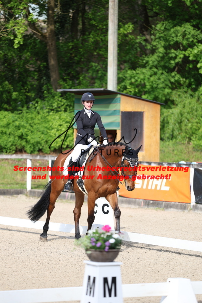 A40A3487 | lmwpictures - Realisiert mit Pictrs.com