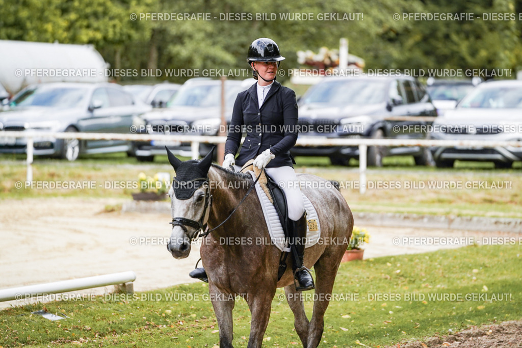 DSC00945 | Pferdegrafie