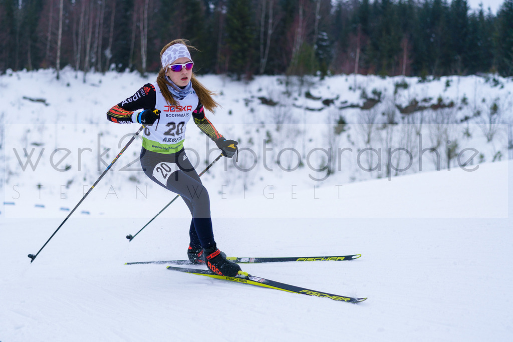 DSC Arber | Bayerischer Wald am 9. bis 12. Februar 2023
