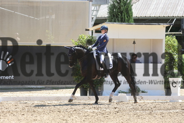 Böblingen_2025_Prfg.Nr.08_Dressurprüfung_Kl.M_Nürnberger Burgpokal_Laura Baisch_Bryony (3) | Alle Fotos der Reiterjournal Fotografin Doris Matthaes im Reiterjournal Online-Fotoshop. - Realisiert mit Pictrs.com