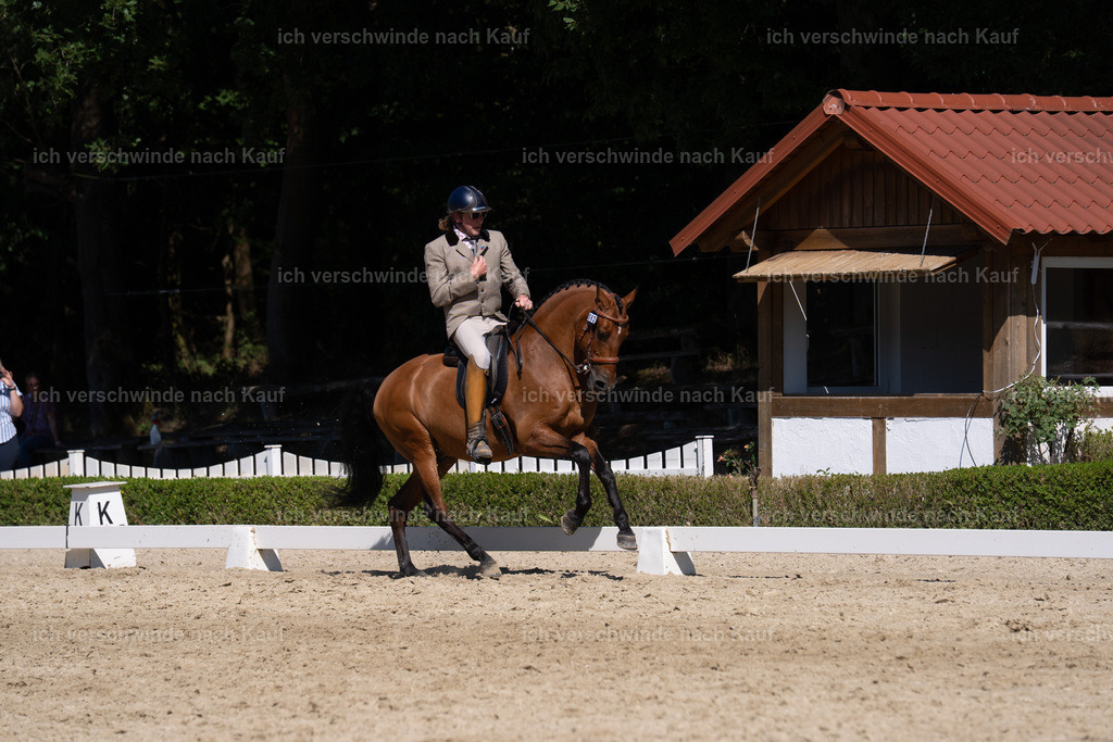 WS_DR_62_sinafilmart_IN04107 | working equitationturnier fotograf videograf stoibphotography marixx film working equitation deutschland reitsport turnierfotografie eventfotografie equestrian events
