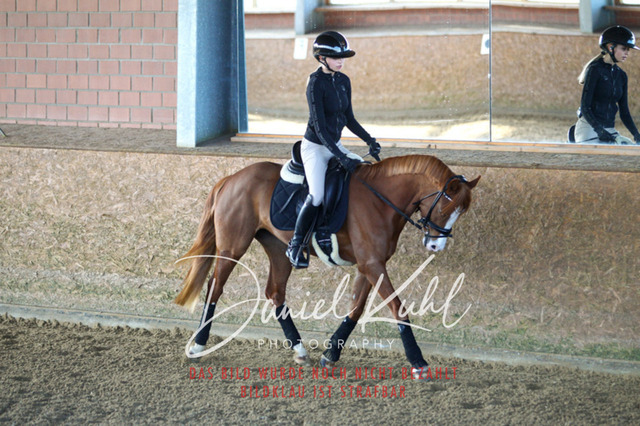 DKP42143 | Turniersportfotografie; Pferdefotografie; Dressurfotografie