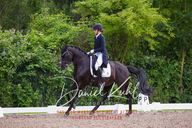 DKP41678 | Turnierfotos kaufen im Webshop von Daniel Kuhl Photography – entdecke professionelle Reitsportfotos aus Turnieren & Events. Hochwertige Turnierbilder online bestellen & sichern. Jetzt Fotos von Reitsportturnieren kaufen!