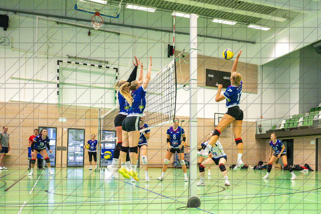 2. VBL Nord 25/26 | VC Osnabrück | Trainingsimpressionen | //  01.09.25: 2. VBL Nord 25/26 | VC Osnabrück | Trainingsimpressionen / Osnabrück / Deutschland  //   CREDIT:www.bullenfotos.de, Martin König, Hörner Weg 40, D-49078 Osnabrück, +4917663732967 // Nutzung und Weitergabe nur zu den vereinbarten Zwecken. Presseanfragen an Ersteller. Alle Rechte beim Ersteller. Honorierung nach MFM. - Realisiert mit Pictrs.com