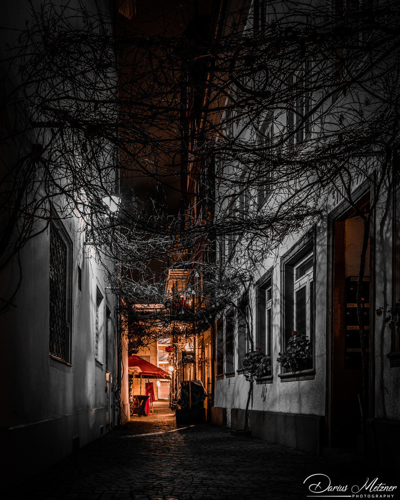 DSC_9860 | Fotografien, Fotos und Bilder aus Mainz, Frankfurt, Wiesbaden und anderen Orten auf der Welt - Fotografiert von Darius Metzner