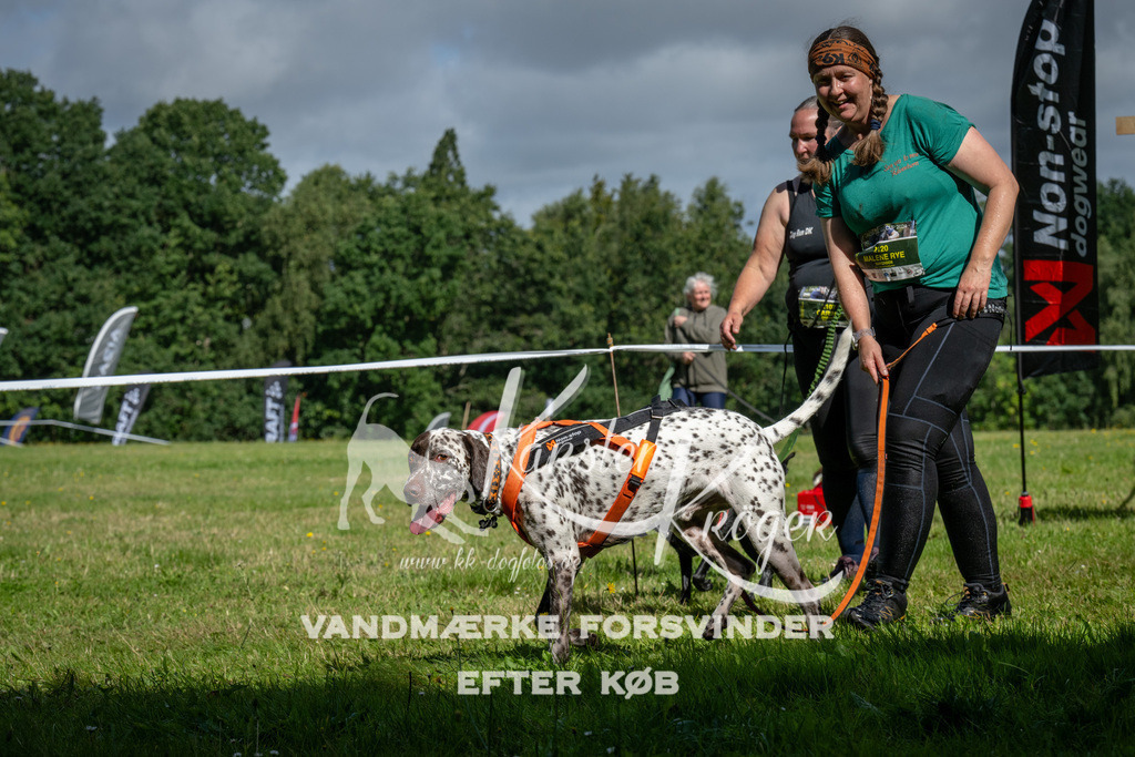 1105_ZZ91855 | kk-dogfotos