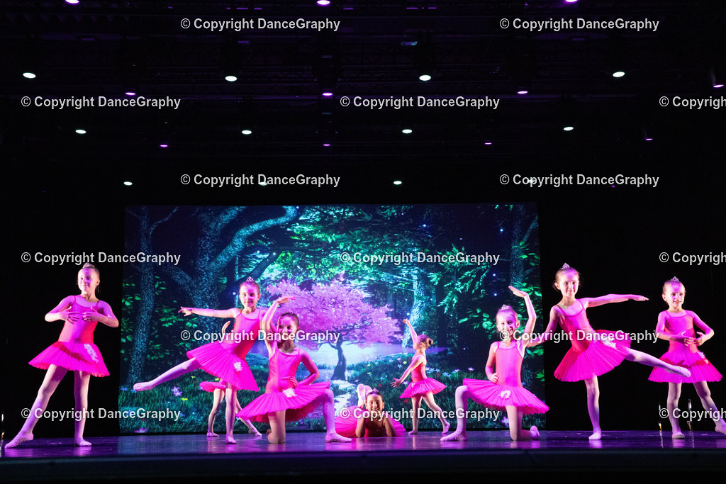 GPHY6039 | DanceGraphy - Realisiert mit Pictrs.com