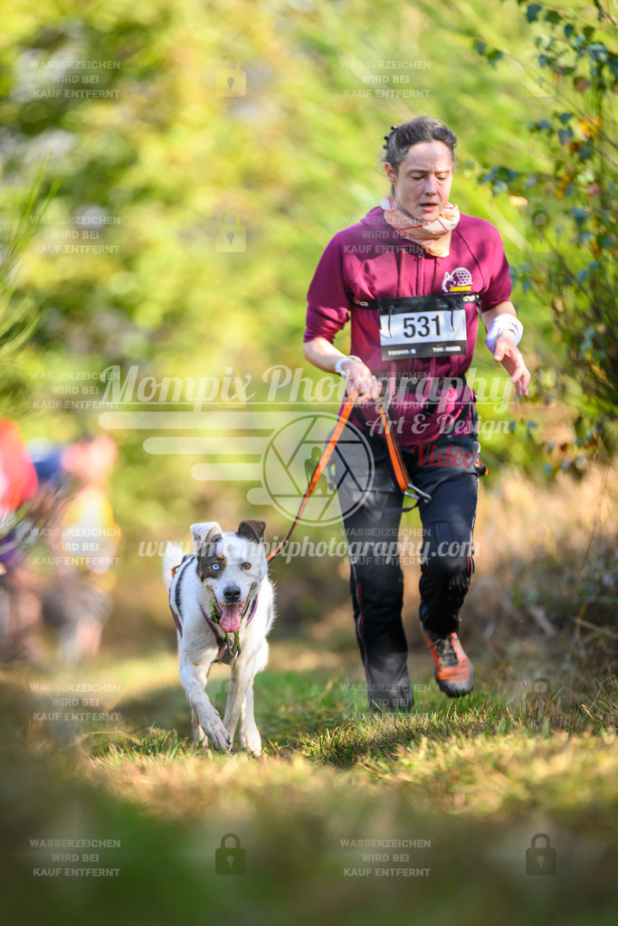 MompixPhotography_20TSB_E4_Run-263 | PayLife