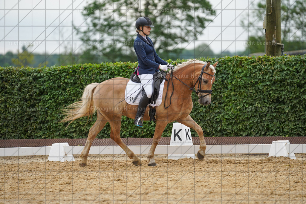 20240630-FAH00808 | Turnierbilder Schwabmünchen, Dressurbilder, Springreitturnier, Reitsportbilder, Turnierfotografen Bayern, Turnierfotograf