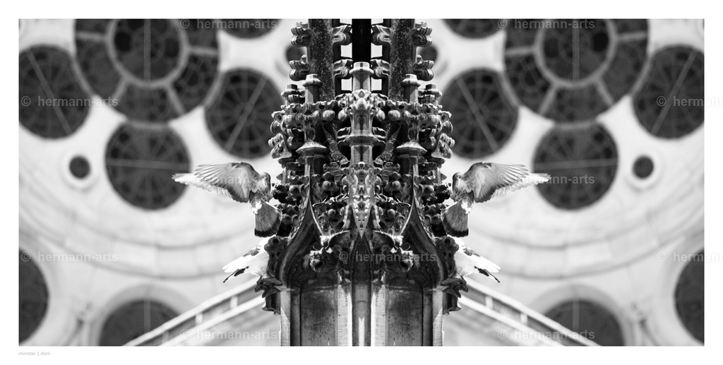 selbstbegegnung_10_03_24_einzeln34 | Photo Foto Kunst Art schwarzweiss Bilder Rheine Münster Berlin Blumen 