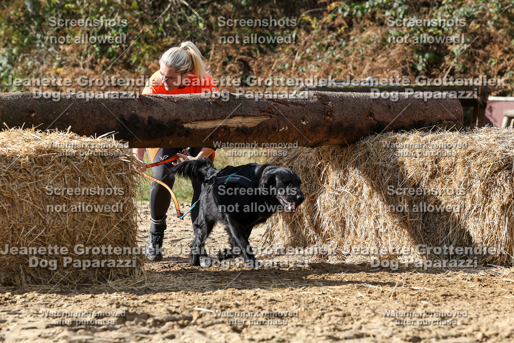 Dog Paparazzi - Strongdog 10-25-4948 | Dog Paparazzi Jeanette Grottendiek Fotografie & Videografie - Realisiert mit Pictrs.com