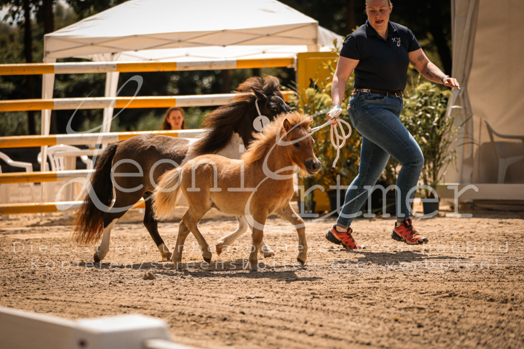 01.DoKR00025 | Leoni Ertmer Photography - Realisiert mit Pictrs.com