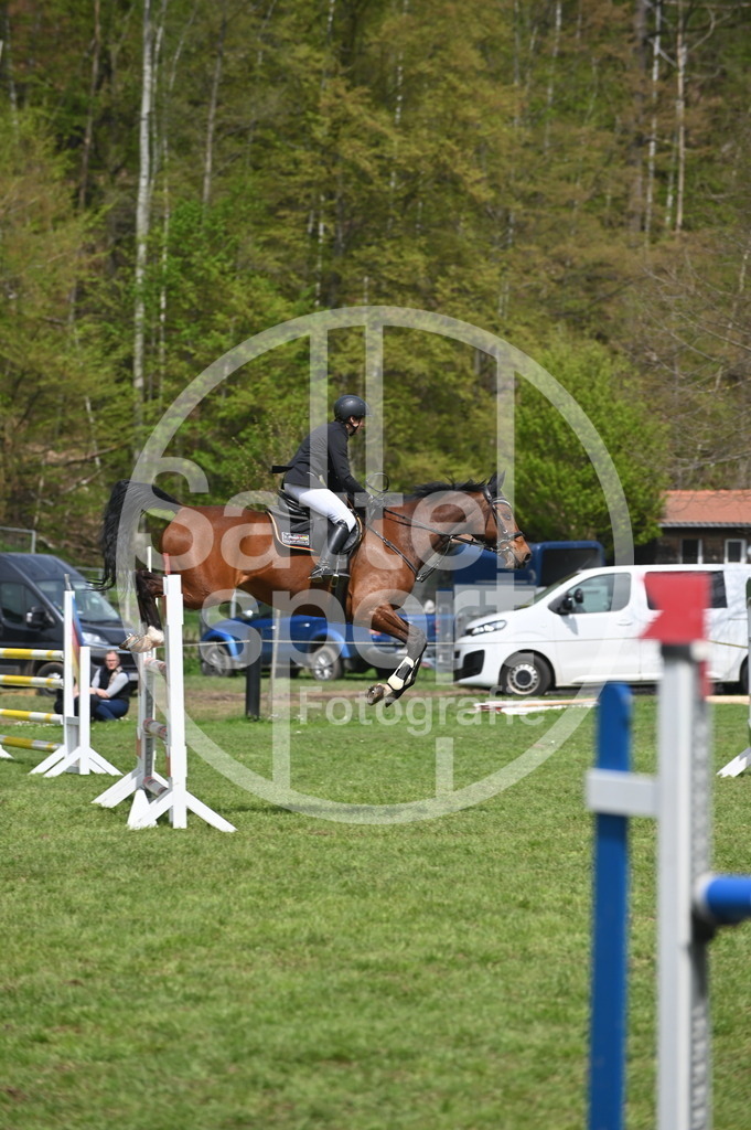 DSC_2739 | sattelsport - Realisiert mit Pictrs.com