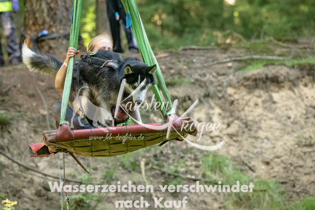 1449_ZZ90912-Bearbeitet-2 | kk-dogfotos