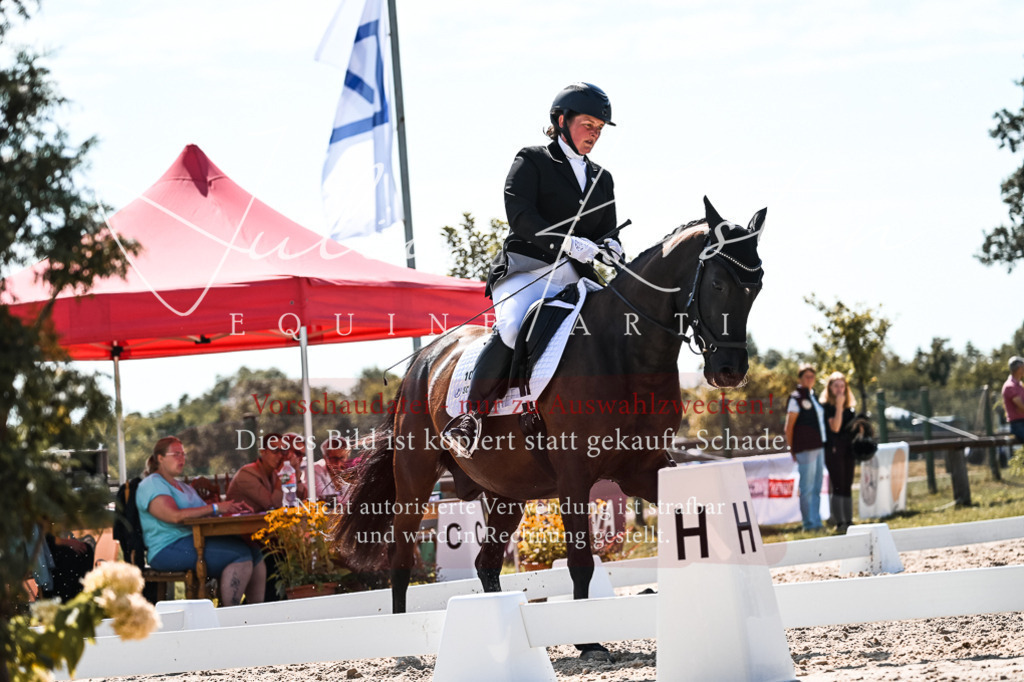 DSC_5021 | Pferde- und Turnierfotografie in Westsachsen. Pferdeportraits, Auftragszeichnungen und intuitive Kunst.